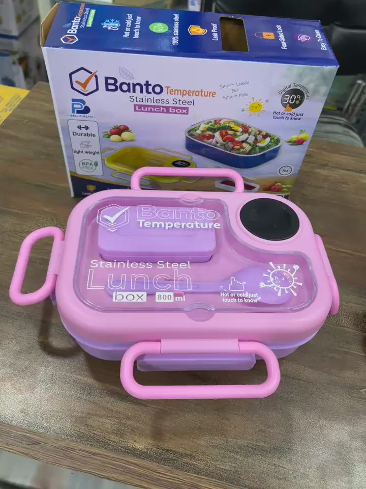 Smart Stainless Steel Lunch Box with Digital Temperature Display – 800ml